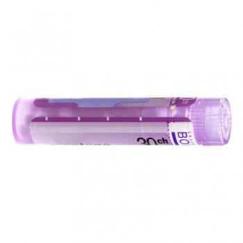 POLLENS 30 CH 4g
